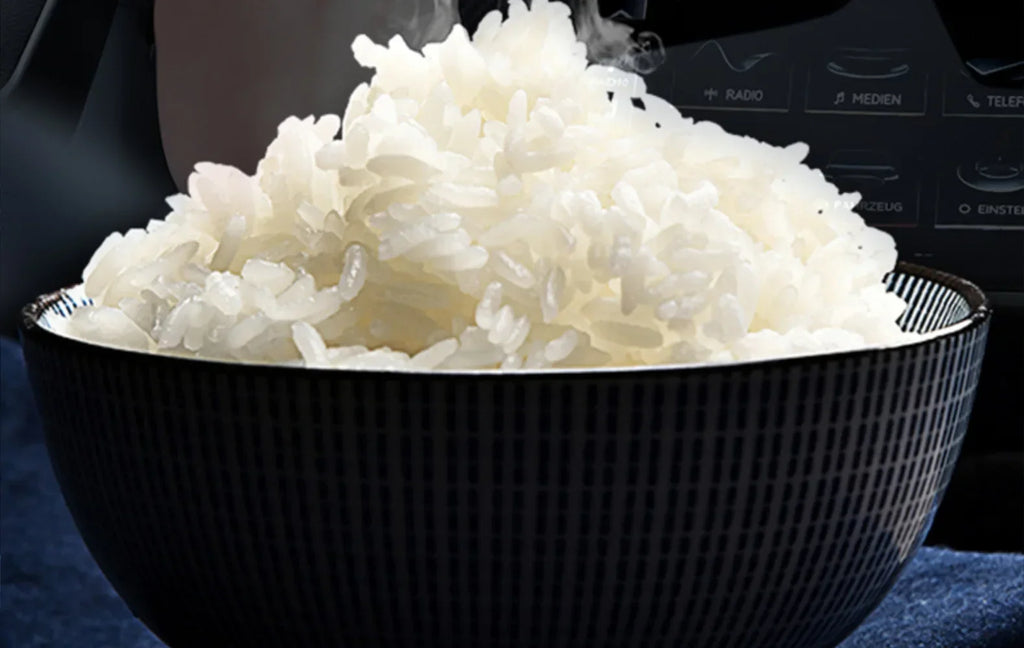 12V 24V 110V 220V 2L four voltage car home rice cooker van car rice cooker for travel global voltage use