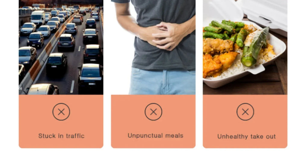 12V 24V 110V 220V 2L four voltage car home rice cooker van car rice cooker for travel global voltage use