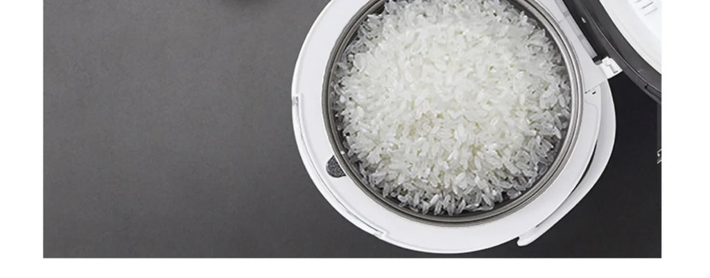 12V 24V 110V 220V 2L four voltage car home rice cooker van car rice cooker for travel global voltage use