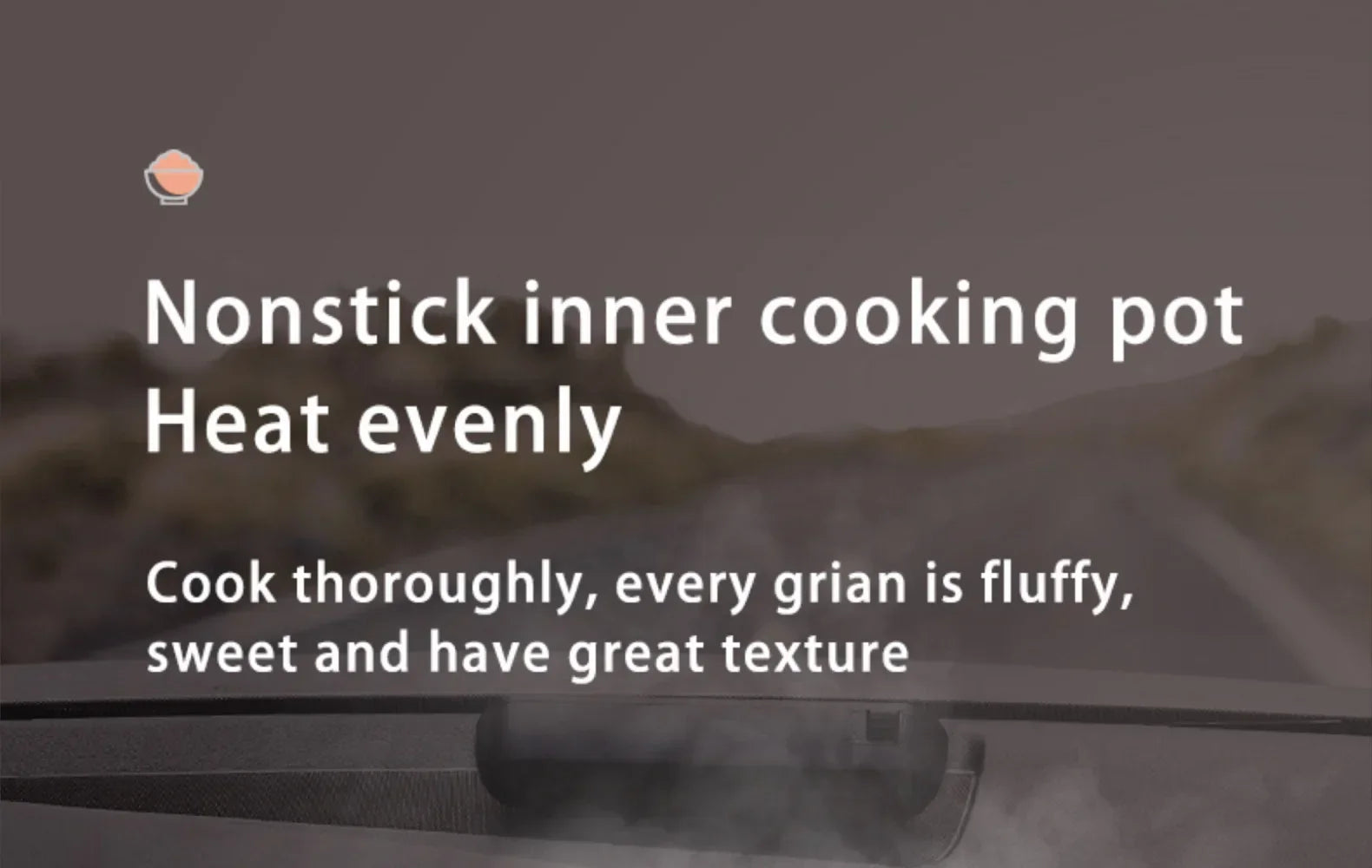 12V 24V 110V 220V 2L four voltage car home rice cooker van car rice cooker for travel global voltage use